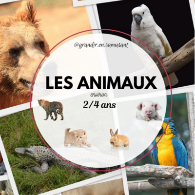 LES ANIMAUX