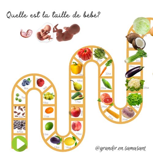 QUELLE EST LA TAILLE DE BEBE ?