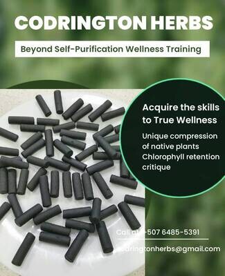 Beyond Self-Purification Wellness Training