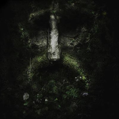 Vowels - Seasonal Beast