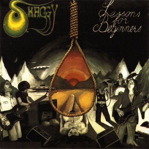 Shaggy – Lessons For Beginners