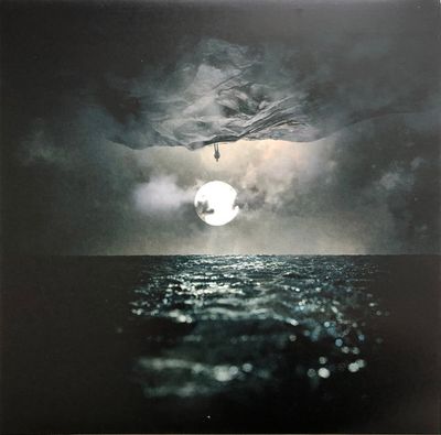 Wooden Veins - In Finitude