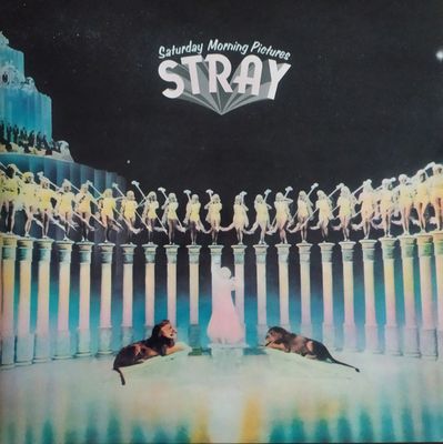 Stray – Saturday Morning Pictures