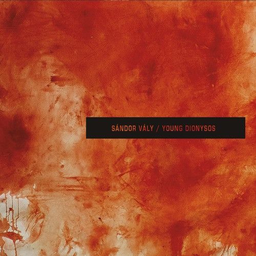 Sándor Vály – Young Dionysos