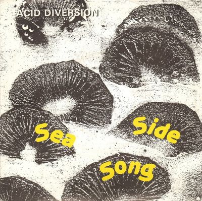 Acid Diversion ‎– Sea Side Song