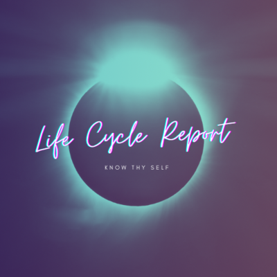 Life Cycle Report