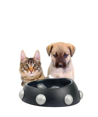 Raddix Pet Feeding Bowl