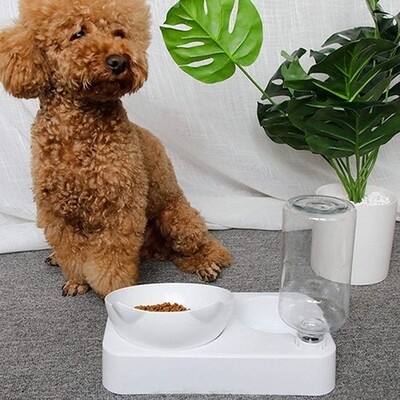 Pet Feeder