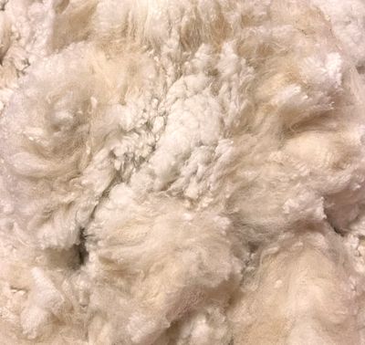 Alpaca Roving