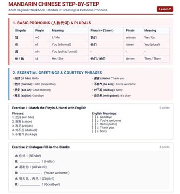 Beginner Chinese language study Adult Workbook