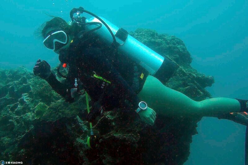 【PADI】台北學潛水！開放水域潛水證照課程