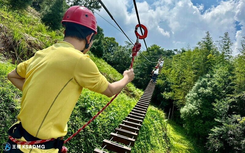 【觀光休閒】桃園培雅境森林高空探索挑戰
