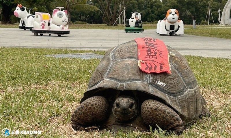 【觀光休閒】大鵬灣遊湖、秘境自行車之旅