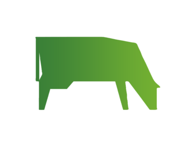 Galloway-Rindfleisch
