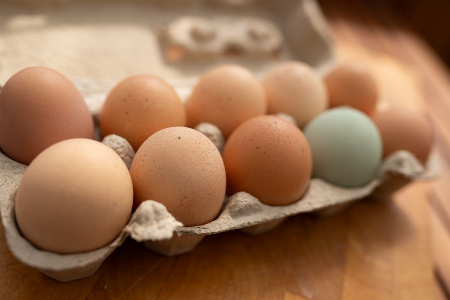 10ner Eierpackung