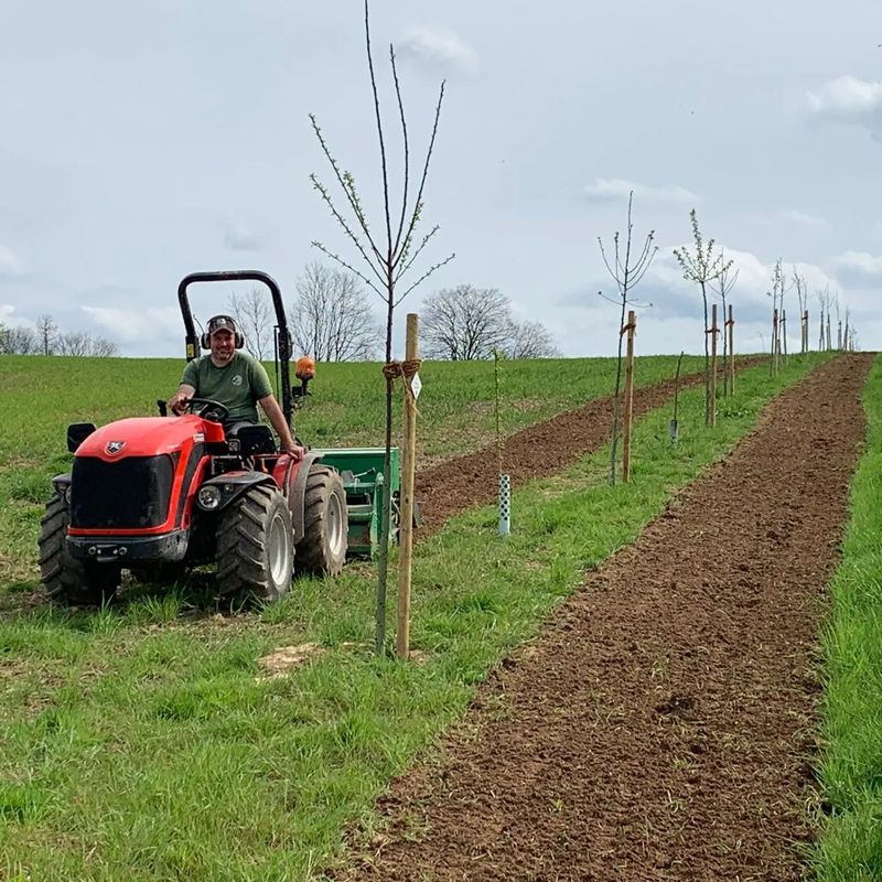 Graseinsaat mit Umkehrfräse