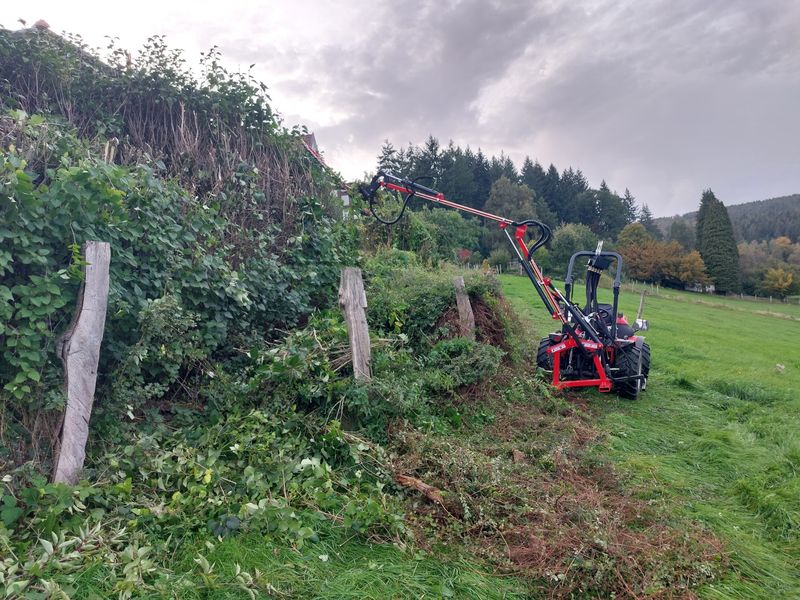 Hecke schneiden mit Kleintraktor