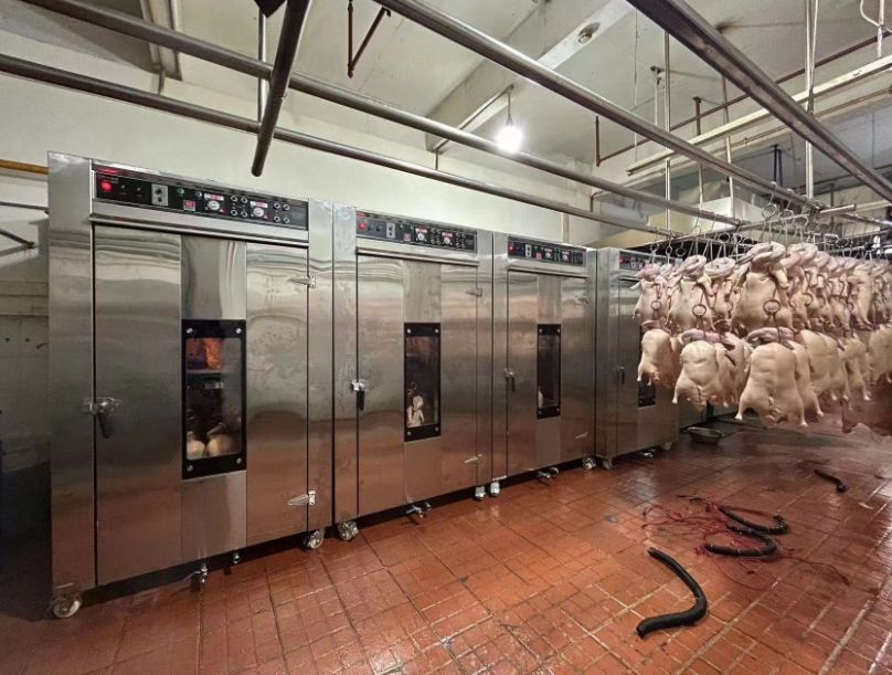 Restaurant-Grade Roasting Solutions: Powerful Machines for Poultry, Pork &amp; More