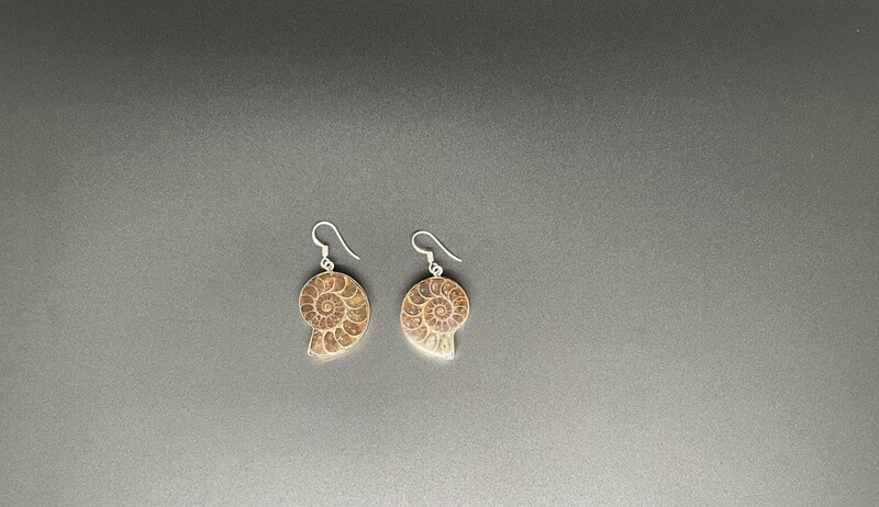 Sterling Silver &amp; Shell Earrings