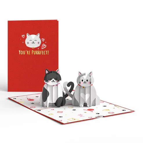 LovePop Love Cats