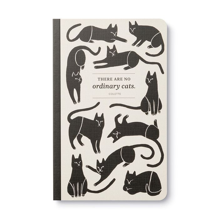 Write Now - There are No Ordinary Cats