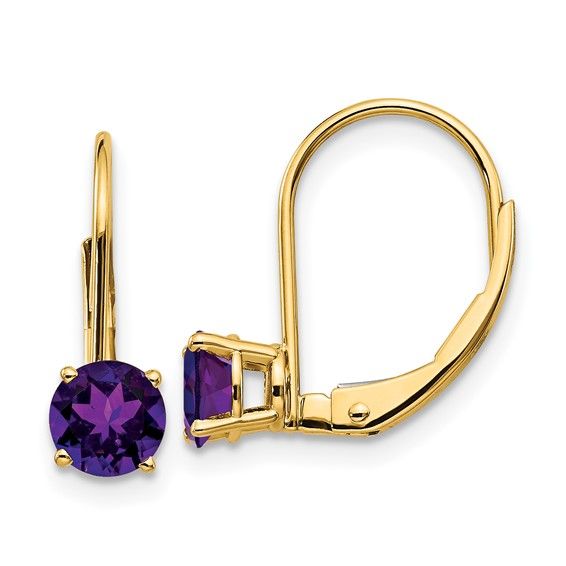 14k 5mm Leverback Earrings