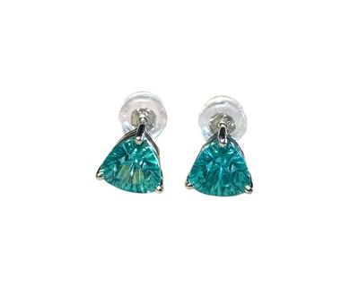 SS 3.8 Carat Trillion Cut Paraiba Posts