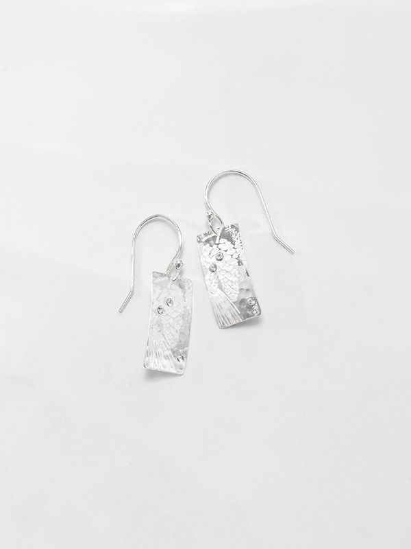 Radiant Petra Earrings Silver