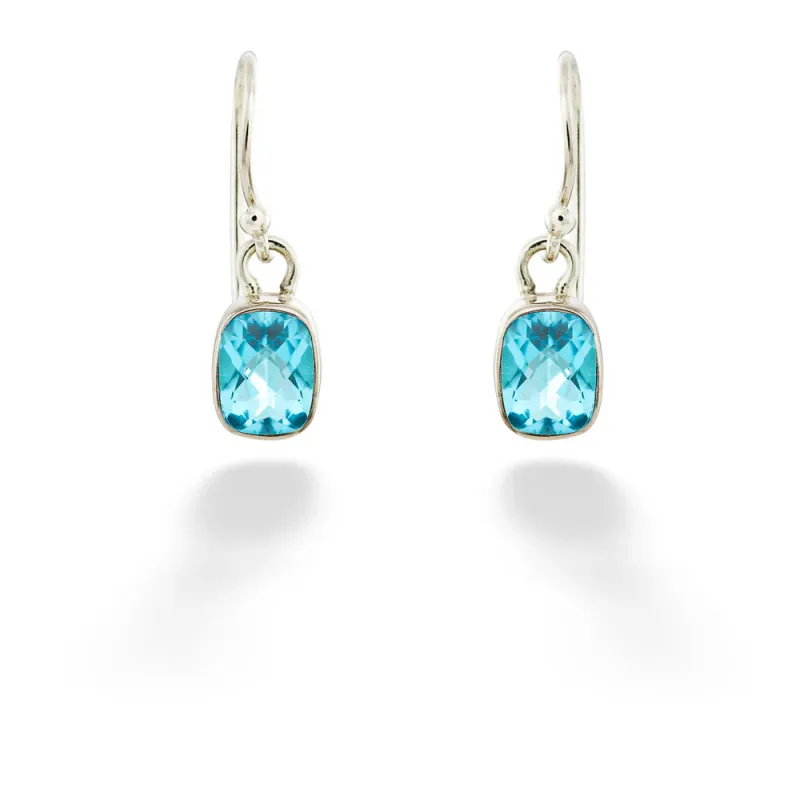 SS Rectangle Cushion Cut Dangle Earring