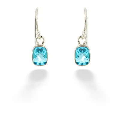 SS Rectangle Cushion Cut Dangle Earring
