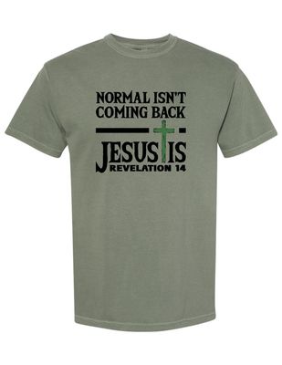 Normal Isn&#39;t Coming Back