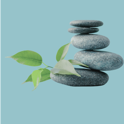 HOLISTIC HEALTH COACHING