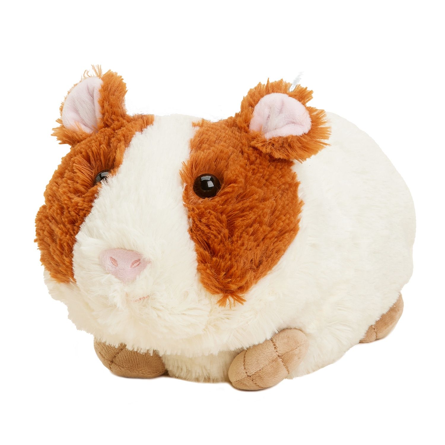 Guinea Pig