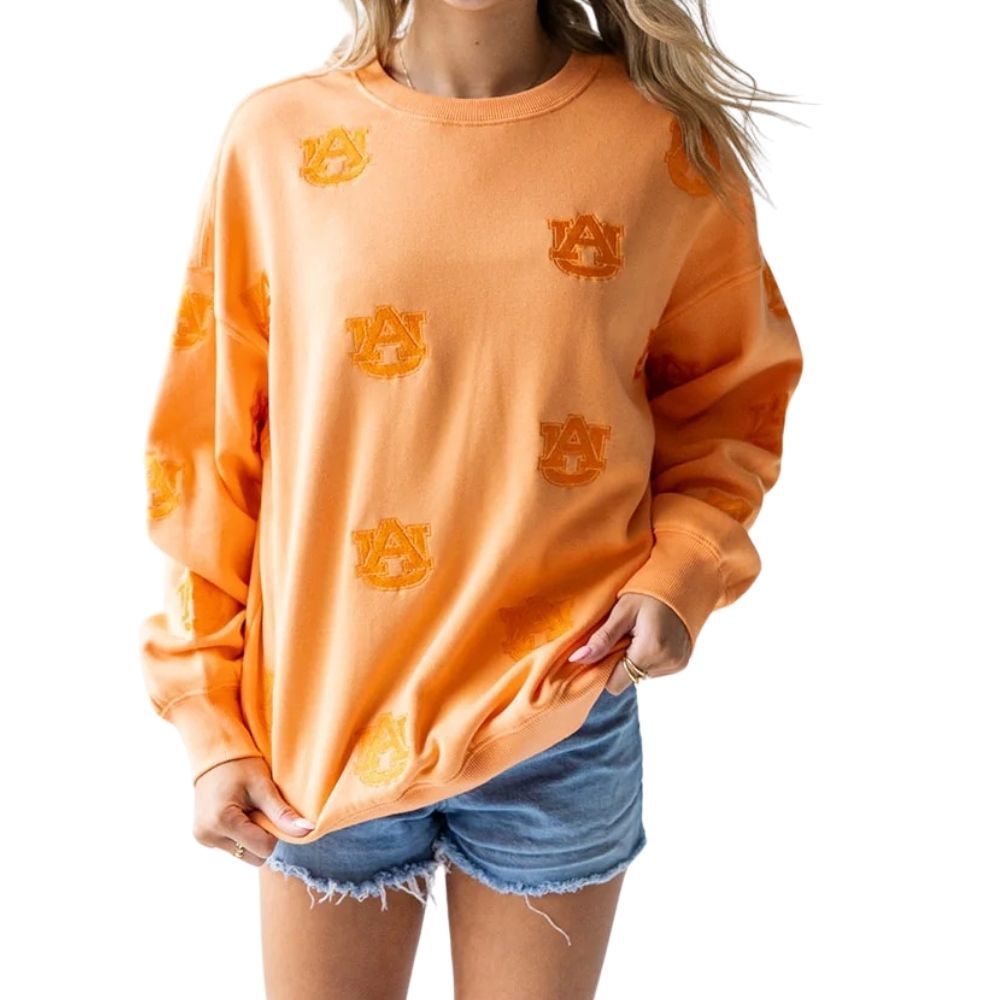 AUBURN RITTER REPEAT LANTERN SLEEVE CREW, Color: SHERBERT, Size: S/M
