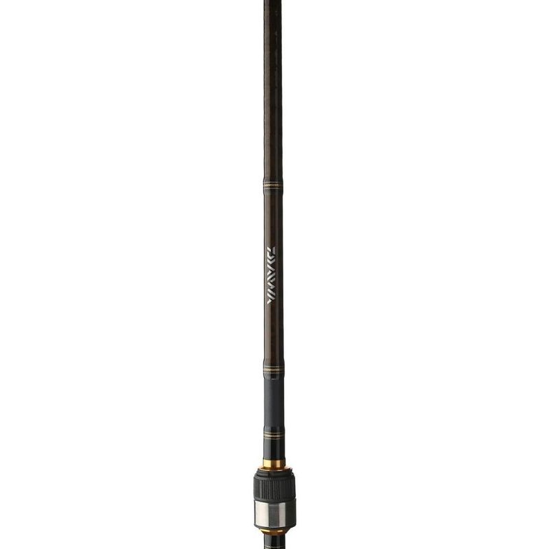 DAIWA AIRD-X SPINNING ROD