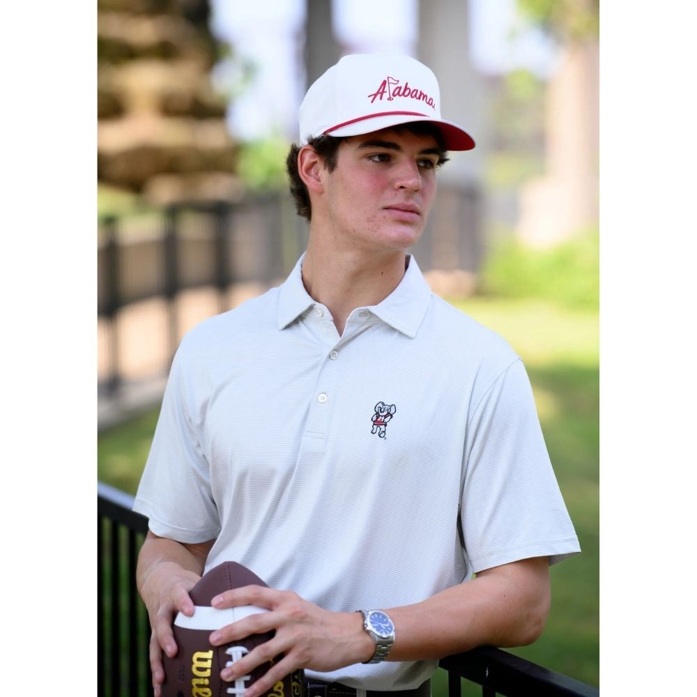 BIG AL STRIPE POLO, Color: LIGHT GREY STRIPE, Size: SMALL