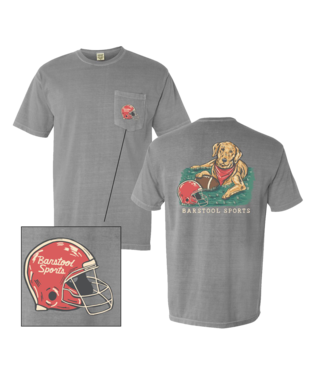 BARSTOOL SPORTS FOOTBALL DOG POCKET TEE, Color: GREY, Size: 2XL