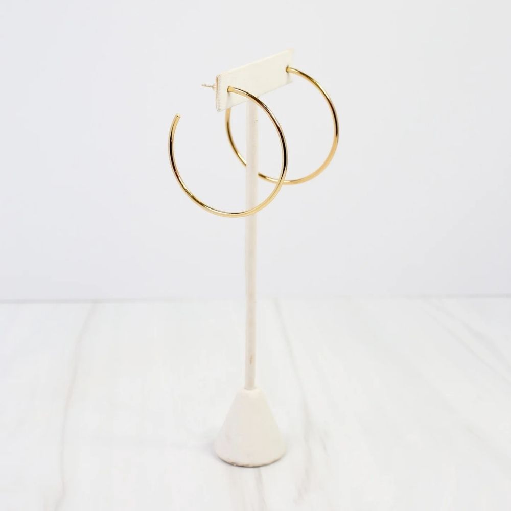 AUSTIN HOOP EARRING, Color: GOLD, Style: E40589