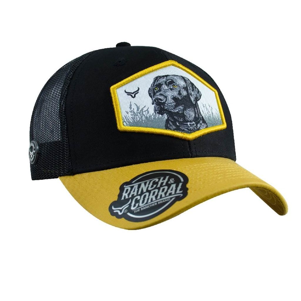 Gorra Dog Breeds Black Labrador