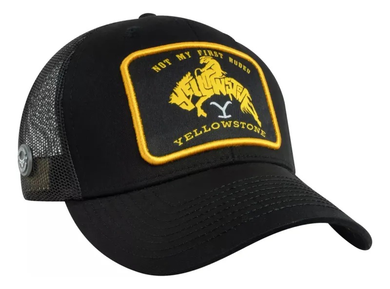 Gorra Yellowstone 31