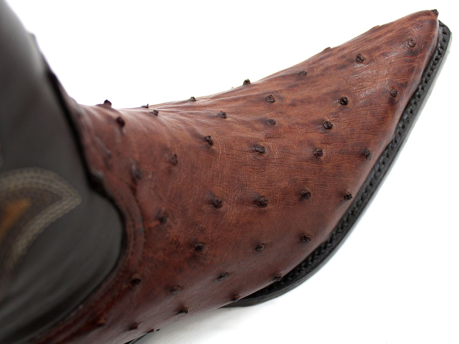 Bota Avestruz 1ra Café Chihuahua