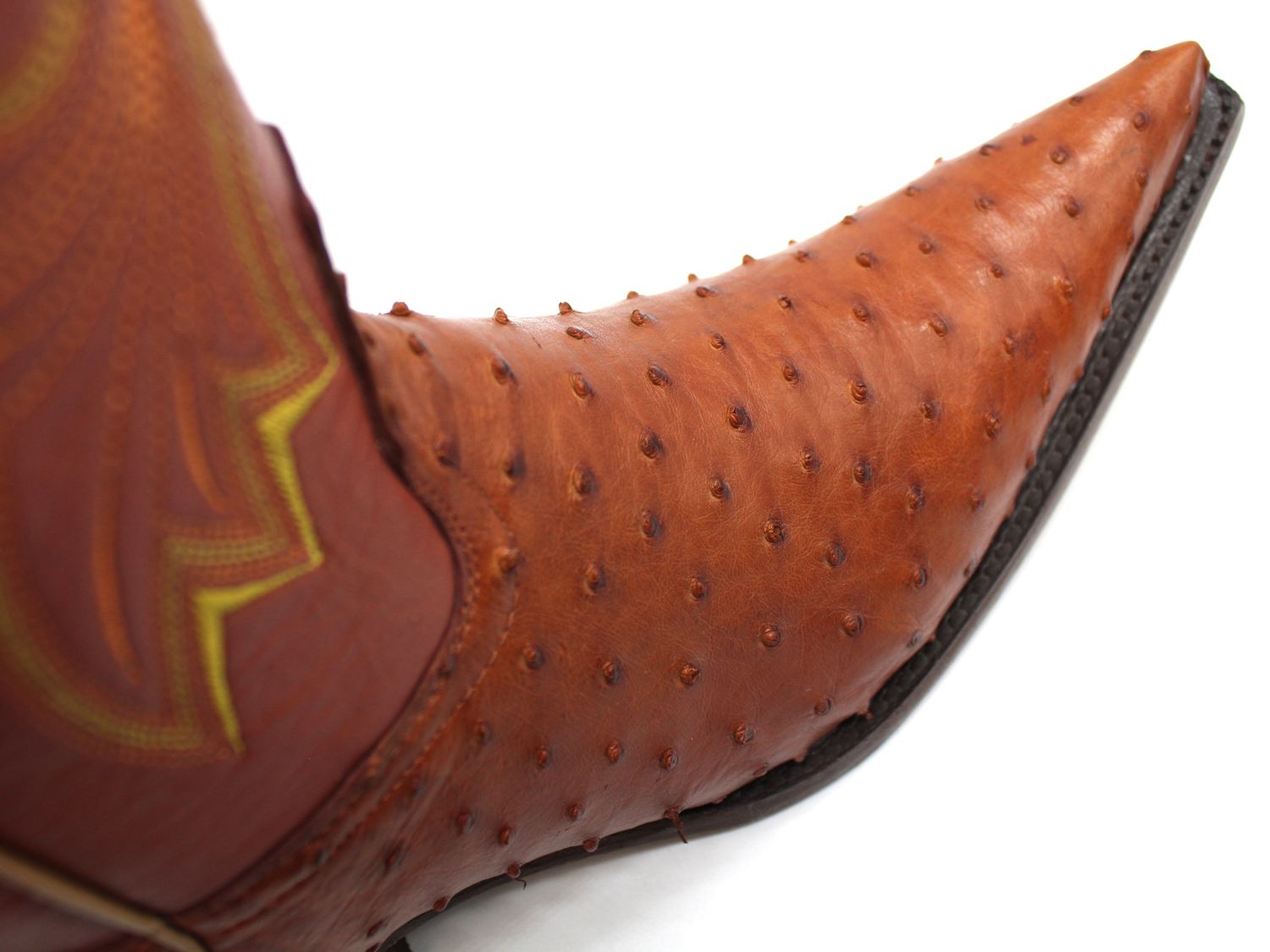 Bota Avestrux 1ra Miel Chihuahua