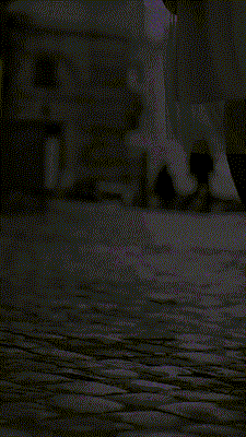 Botas
