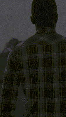 Camisas