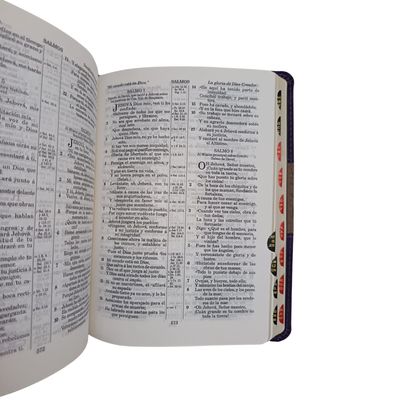 Biblia en Piel Púrpura – Reina Valera 1909