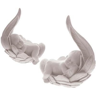 Baby pluim/bébé dans la plume