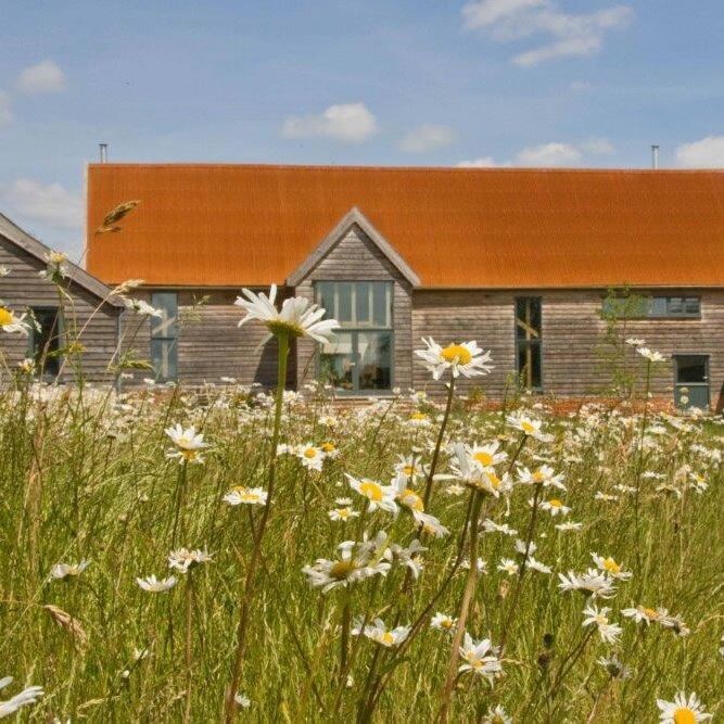 Walnes English Meadow 1kg