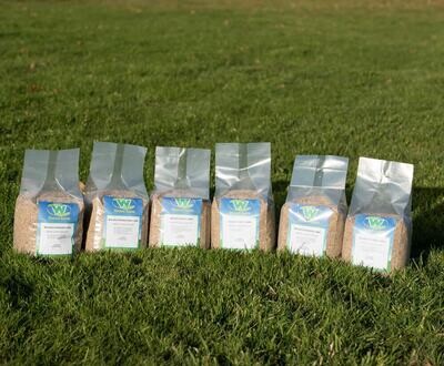 Lawn Seed