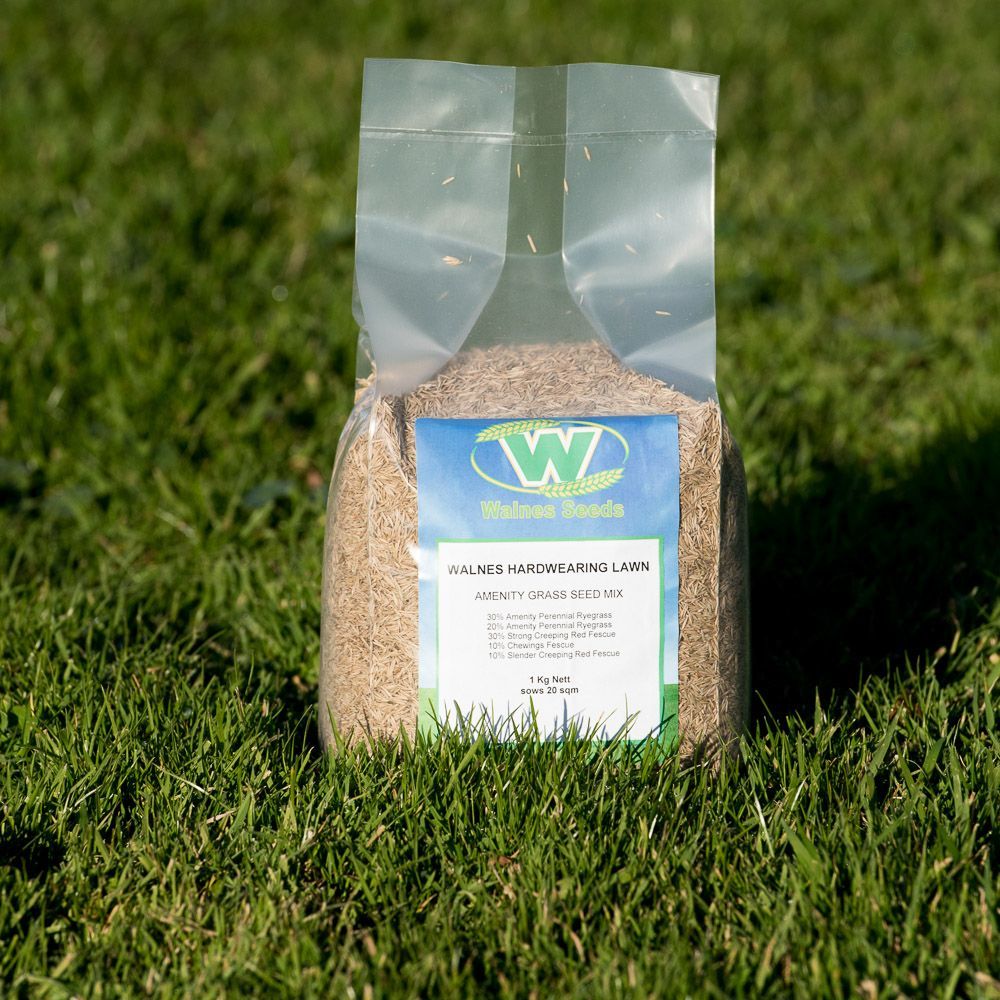 Walnes Hardwearing Lawn Seed