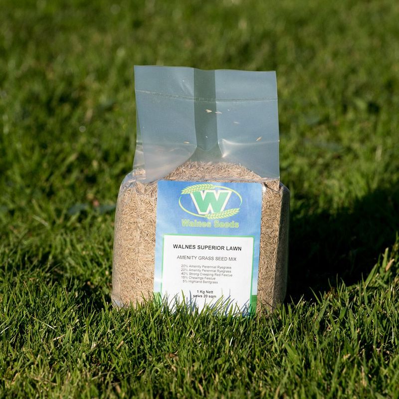 Walnes Superior Lawn Seed